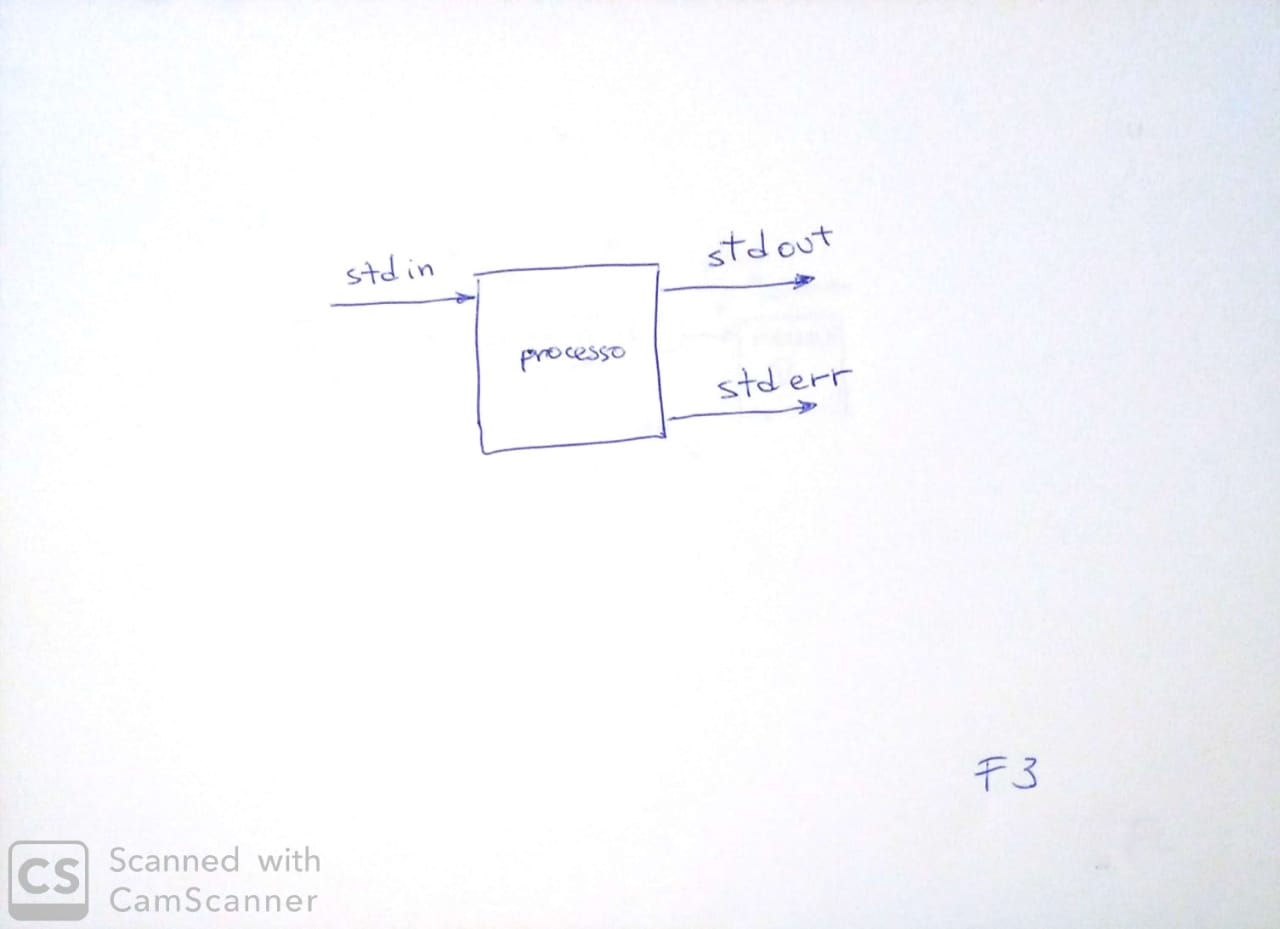 Processo e Standard Streams