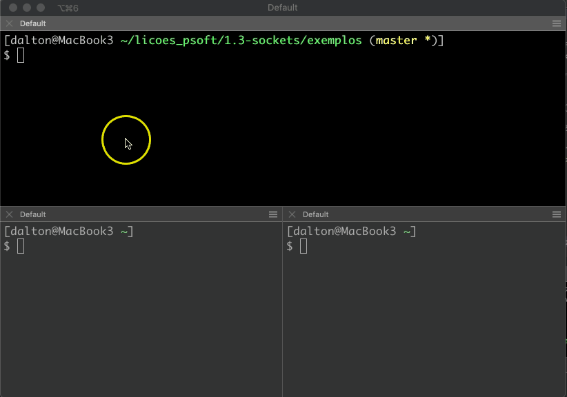 Vídeo Servidor de Eco
