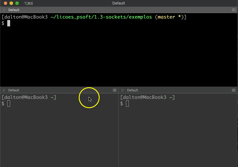 Servidor de Eco com Threads